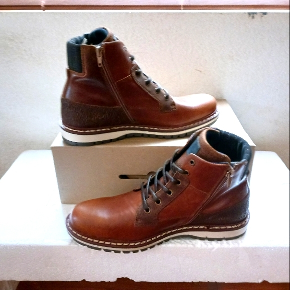 Bulllboxer - Picture 3 of 4